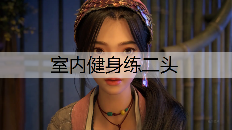 室内健身练二头